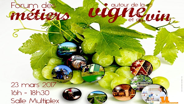 agenda forum vigne vin