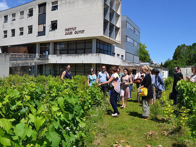 Visite de l’IUVV suivie de cours sur le vin.